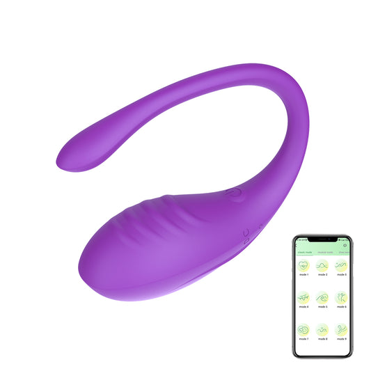 Long distance vibrator with Bluetooth